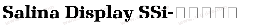 Salina Display SSi字体转换